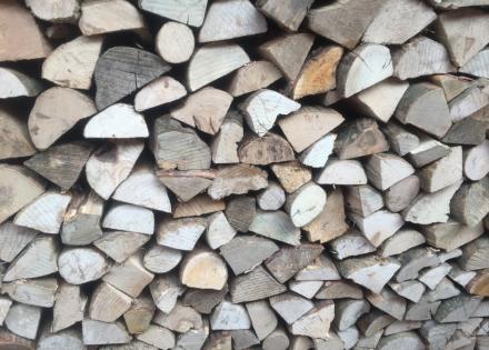 Logs stacked to dry