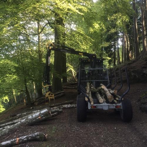 Woodland services in progress